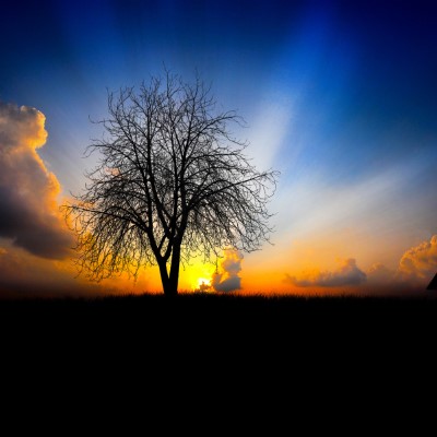 1920 x 1080 HD Wallpapers 2170